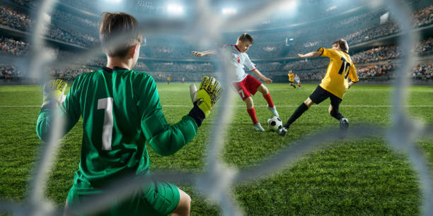 带来持续的 带来持续的